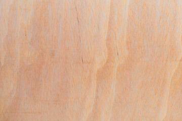 Light rough textured cut surface of an African tree. Wood background or blank for design