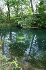Obraz premium lake in the forest