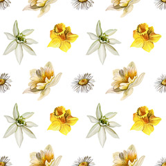 Watercolor seamless pattern with daffodils and daisies. Hand-drawn floral ornament on a white background. Spring flowers