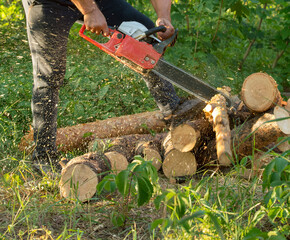 man sawing logs in the forest close-up