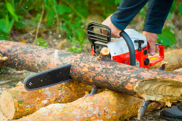 man sawing logs in the forest close-up