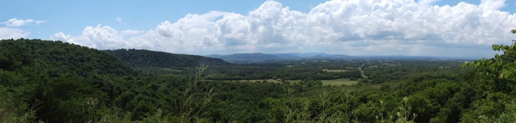 Fototapeta na wymiar panoramic view of forest valley