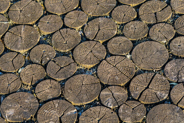 wooden stockade background texture path