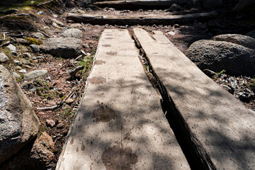 path in the woods