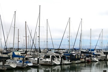 yachts in marina