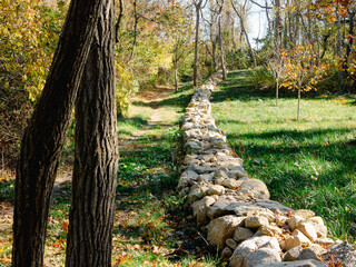 rock wall in the woods