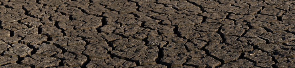 Earth cracked because of drought. The global shortage of water on the planet. Global warming concept. Dry cracks in the land.