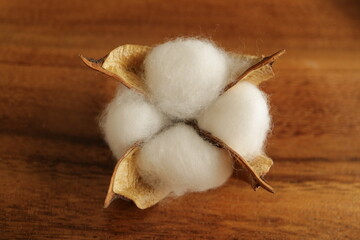 木製のテーブル　背景木目　コットンフラワー