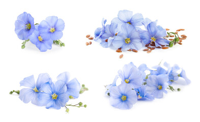 Fototapeta na wymiar Set with flax seeds and flowers on white background