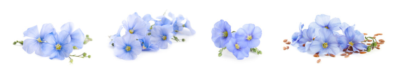 Set with flax seeds and flowers on white background. Banner design