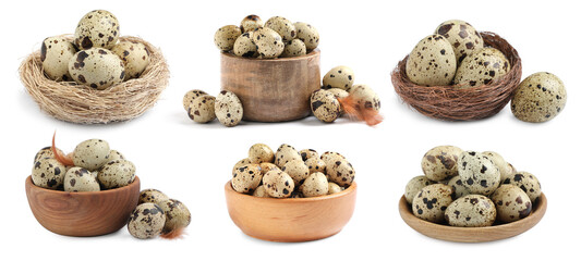 Set with quail eggs on white background. Banner design