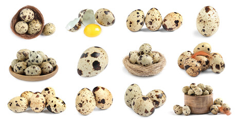 Set with quail eggs on white background. Banner design