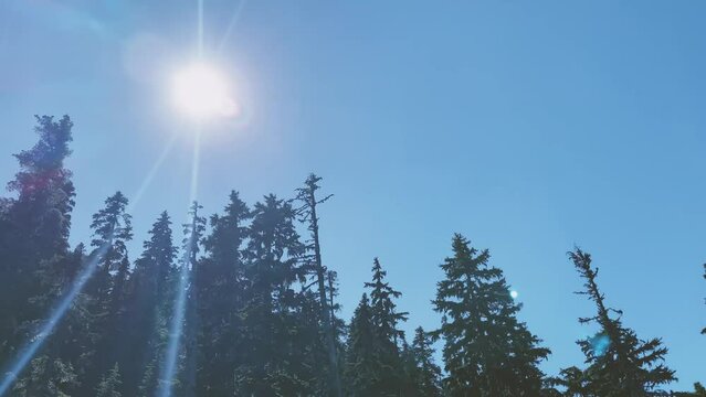 Whistler Blackcomb - Whistler - British Columbia - Canada - Summer 2022