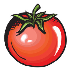 Hand Drawn Fresh Red Tomato Vector Illustration