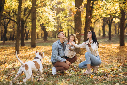 Happy young family walks and plays with a dog in the autumn park