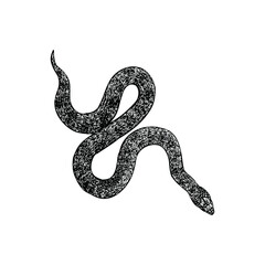 keelback snake hand drawing vector illustrationisolated on background