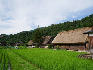Fototapeta na wymiar 山奥の集落　日本