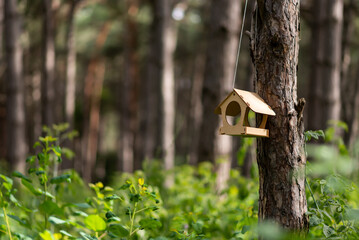 Beautiful wooden birdhouse or nesting house tied to a tree in a park or forest. Shelter for breeding birds