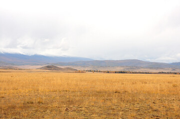 Panoramic shot of a dried up hilly steppe in early autumn at the foot of a mountain range under an overcast sky.