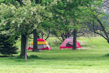 Two tents fully erected and set up under lush green trees and grass for homeless people living on the north side of Chicago.
