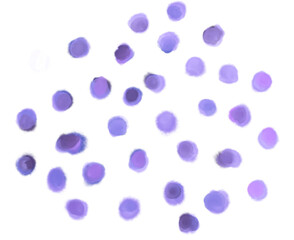 Watercolor painting decoration element dots dashs colorful artistic texture illustration