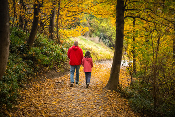 Fototapeta premium people walking in golden autumn landscape, yellow leaves in a forest or park, beautiful fall background, outdoor shot