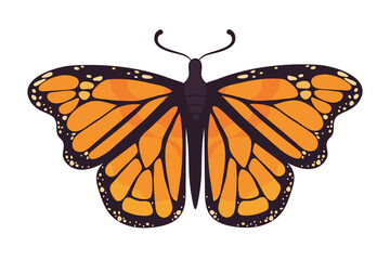 monarch butterfly bug
