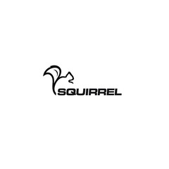 modern squirell and logo vector