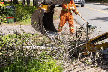 Closeup view on hydraulic arm of an excavator at work clearing tree branches and debris from the...