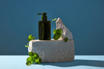Front view of centella asiatica ( gotu kola ) decorated with white rock and cosmetic jar in blue...