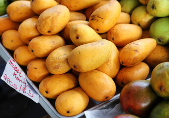 market mangoes 