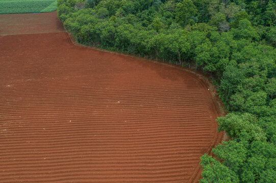 Aerial view ; Rows of soil before planting.Sugar cane farm pattern in a plowed field prepared for background