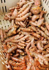 market turmeric
