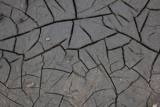 Deep Cracks In The Spring Ground