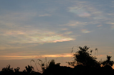 Sunset and cloud iridescence with black shadows of trees