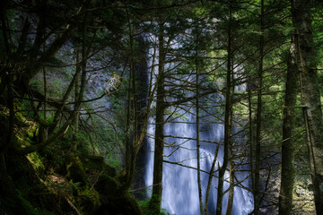 乗鞍三名滝と呼ばれる、落差8メートルの迫力ある善五郎の滝とその周辺のさわやかな6月の風景