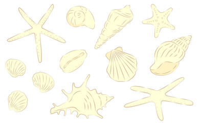 手描き風の貝殻セット、クリーム色