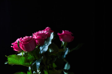 Bouquet of roses on a dark background. The concept of a gift and congratulations. Front view.