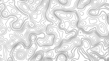 Fototapeta premium White wave paper curved reliefs abstract background, Abstract topographic contours map background. Geographic mountain relief. Abstract lines background. Contour maps.