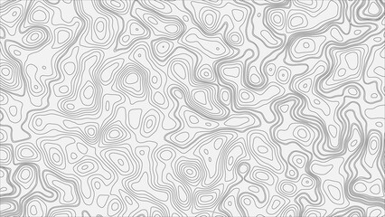 White wave paper curved reliefs abstract background, Abstract topographic contours map background. Geographic mountain relief. Abstract lines background. Contour maps.