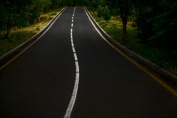 Empty countryside asphalt road. Empty road in green summer forest. Straight way and natural...