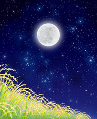 稲　稲穂　田んぼ　満月