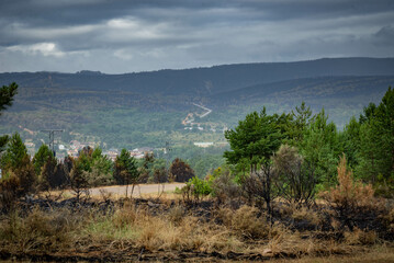 Incendio el la sierra de la Culebra en Zamora España