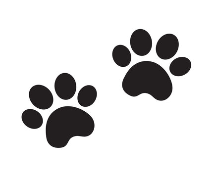 dog paw , animal paws vector illustration