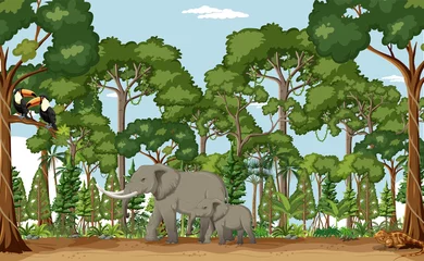 Forest scene with various wild animals © blueringmedia