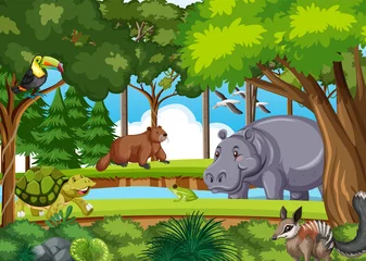 Forest scene with various wild animals © blueringmedia