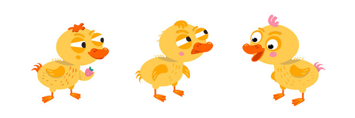 Cute collection of ducks in cartoon style. Characters for design of postcards, inscriptions, children books. Vector illustration, icon on isolated background.