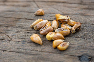 Toasted Andean corn with salt on a wooden table