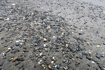 千葉港　海岸の石