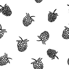 raspberries and blackberries seamless pattern. fruits hand drawn in doodle style. berries in simple line art.